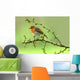 Robin Wall Decal