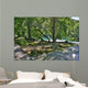 The area around Skradinski Buk waterfall in the Krka National Park, Sibenik-Knin County, Croatia.
 Wall Mural