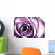Purple rose Wall Mural
