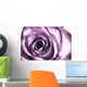 Purple rose Wall Mural