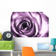 Purple rose Wall Mural