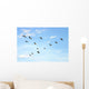 Brown Pelicans Flying Wall Mural