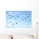 Brown Pelicans Flying Wall Mural