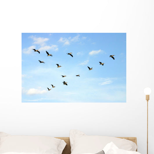 Brown Pelicans Flying Wall Mural