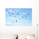 Brown Pelicans Flying Wall Mural