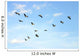 Brown Pelicans Flying Wall Mural