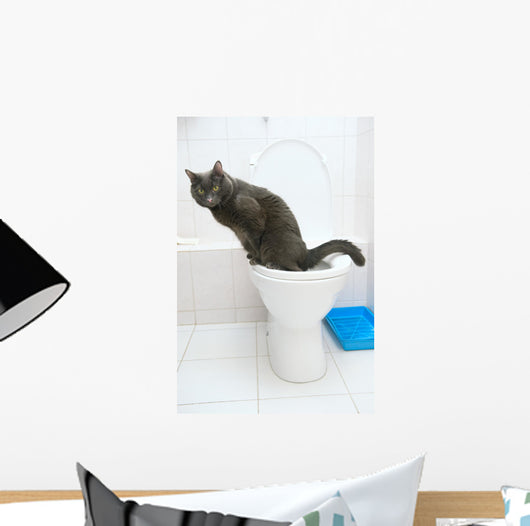clever cat uses a toilet bow Wall Mural