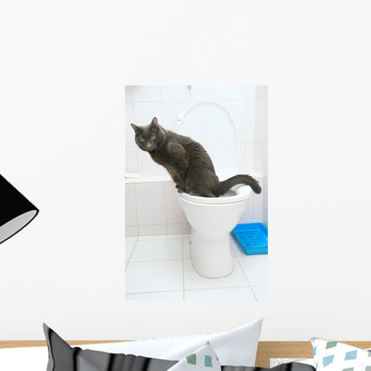 clever cat uses a toilet bow Wall Mural