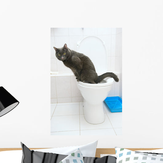 clever cat uses a toilet bow Wall Mural