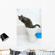 clever cat uses a toilet bow Wall Mural
