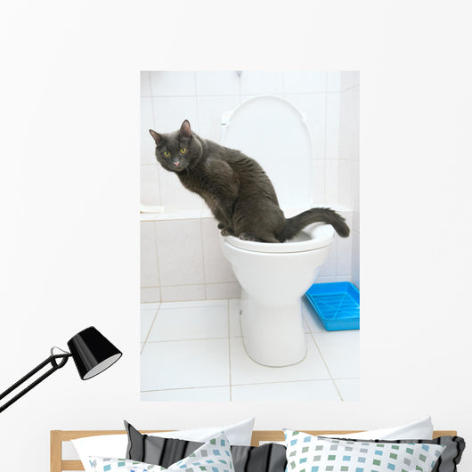 clever cat uses a toilet bow Wall Mural