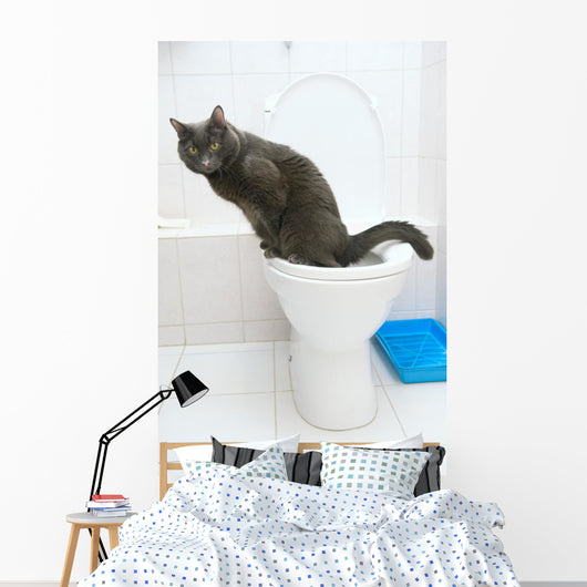 clever cat uses a toilet bow Wall Mural