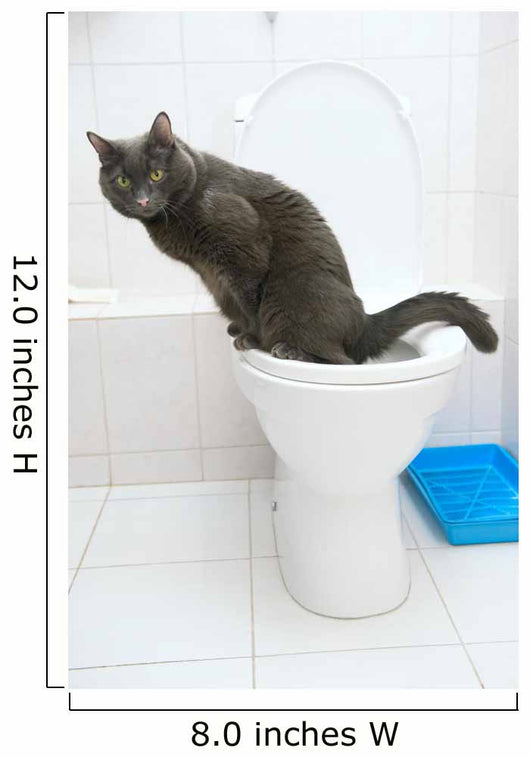 clever cat uses a toilet bow Wall Mural