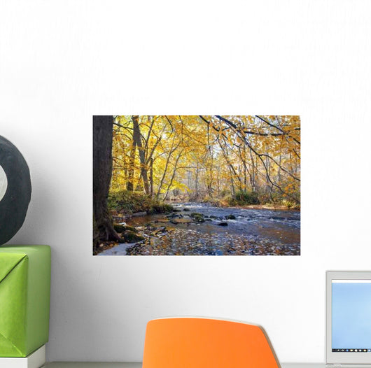 River Autumn Forest Wall Decal