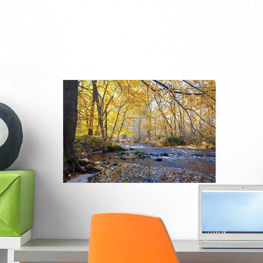 River Autumn Forest Wall Decal