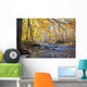 River Autumn Forest Wall Decal