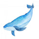 Blue Whale Watercolor hand-painted Illustration Sea animals Blue Whales Isolated Cute Kids  Wall Decal