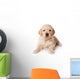 Golden Retriever Puppy on White Background Wall Decal