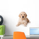 Golden Retriever Puppy on White Background Wall Decal