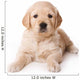 Golden Retriever Puppy on White Background Wall Decal