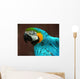 Parrot Wall Mural