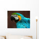 Parrot Wall Mural