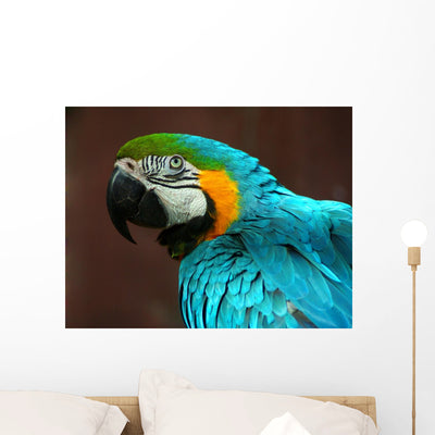 Parrot Wall Mural shown on a wall