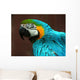 Parrot Wall Mural