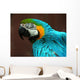 Parrot Wall Mural