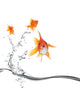 goldfish jumping away Wall Decal