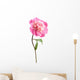 pink peony flower isolated Wall Decal