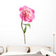 pink peony flower isolated Wall Decal