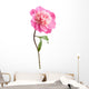 pink peony flower isolated Wall Decal