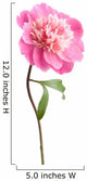 pink peony flower isolated Wall Decal