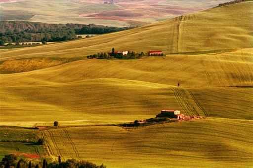 Toscany Wall Decal