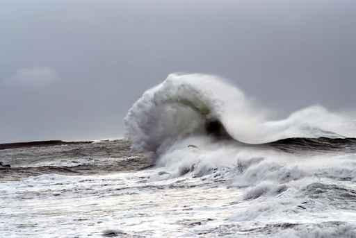 Wave Surf Wall Decal