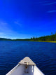 lac Wall Mural