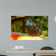 Butterfly Wall Mural