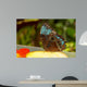 Butterfly Wall Mural