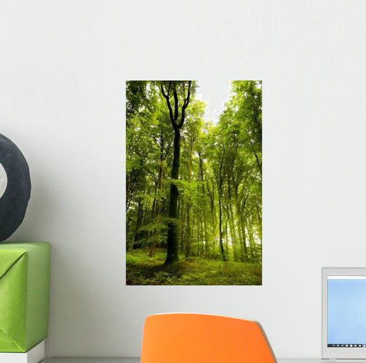 B Wall Decal