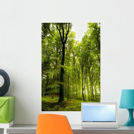 B Wall Decal