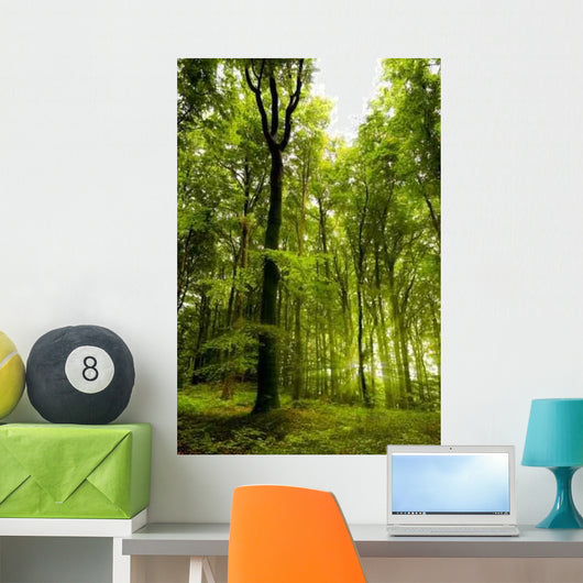 B Wall Decal
