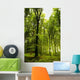 B Wall Decal