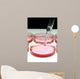 Medical Research Wall Mural