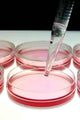 Medical Research Wall Mural