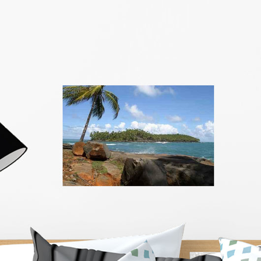 Ile Du Diable Vu Wall Decal