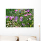 wildflowers Wall Mural