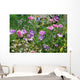 wildflowers Wall Mural