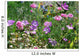 wildflowers Wall Mural