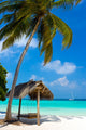 Swing on a Tropical Beach Wall Mural